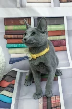 Nikita Russian Blue Male Kitten For Sale