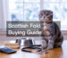 Things to Know About Scottish Fold Cat Before Buying | Health, Care, Cost & Guide